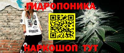 дживик Лесосибирск