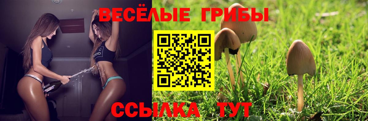 Галлюциногенные грибы GOLDEN TEACHER  Вход с VPN  Чебоксары 